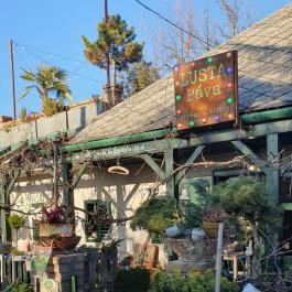 Lusta Páva Borbár és Pince Monor - Egyéb