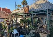 Lusta Páva Borbár és Pince Monor