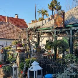 Lusta Páva Borbár és Pince Monor - Egyéb