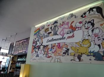 Lustamacska Pub Budapest