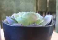 Maarsk Cafe Dunaújváros