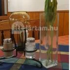 Macska Fogadó étterme Martonvásár - Egyéb