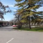 Made with love Hajós - Egyéb