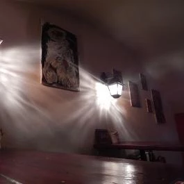 Magyar Ceho, Budapest - Belső