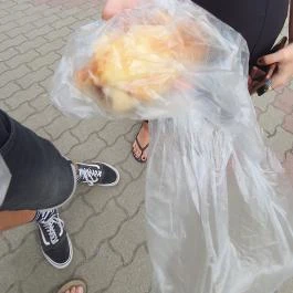 Magyarkanizsa Pék, Mezőtúr - Egyéb