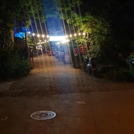 Majomhoz, Budapest - Egyéb