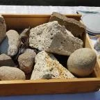 Majoros Pincészet Tarcal - Étel/ital