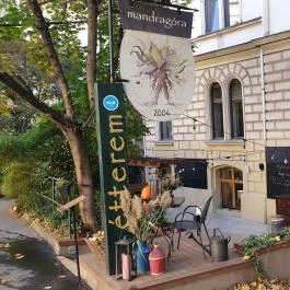 Mandragóra Kávéház Budapest - Egyéb