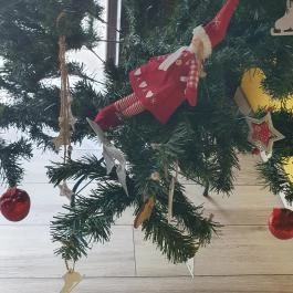 MaPet Hajdúszoboszló - Egyéb