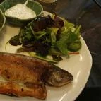 Marischka Budapest - Egyéb