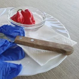 Maros Étterem, Nagymaros - Egyéb