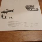 Marumba Budapest - Egyéb