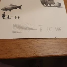 Marumba, Budapest - Egyéb