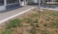 Matyó Pékség, Füzesabony