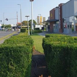 McDonald's - Kishegyesi utca Debrecen - Egyéb
