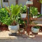 Mi & Ti Pizzéria Szarvas - Egyéb