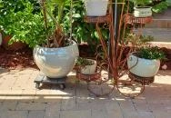 Mi & Ti Pizzéria Szarvas