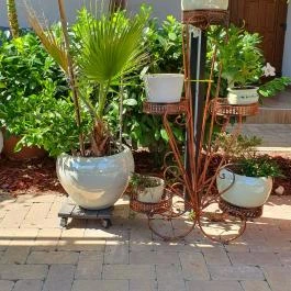 Mi & Ti Pizzéria, Szarvas - Egyéb