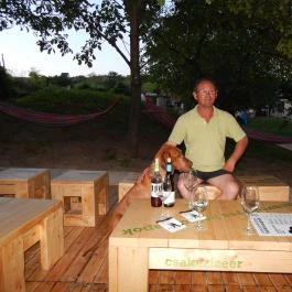 Miklóscsabi Pincéje, Mór - Egyéb