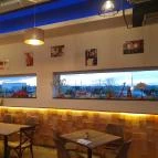 Misi Fakanala Kifőzde Szigetszentmiklós - Egyéb