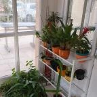 Mohácsi Kézműves Cukrászat Százhalombatta - Egyéb