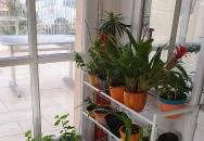 Mohácsi Kézműves Cukrászat Százhalombatta