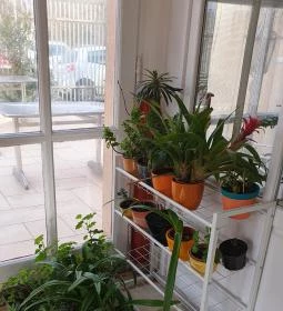 Mohácsi Kézműves Cukrászat