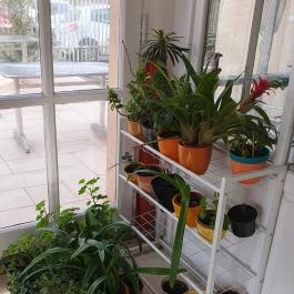 Mohácsi Kézműves Cukrászat, Százhalombatta - Egyéb