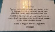 Móka Kávézó Budapest - Egyéb