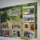 Mokos Családi Pincészet Palkonya - Egyéb