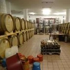 Mokos Családi Pincészet Palkonya - Egyéb