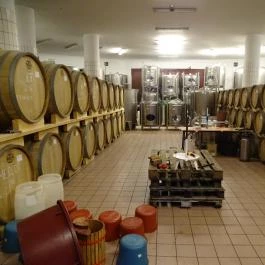 Mokos Családi Pincészet Palkonya - Egyéb