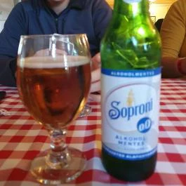 Mókus Csárda Békéscsaba - Egyéb