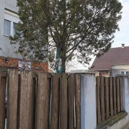 Mókuskerék Kocsma, Újfehértó - Egyéb