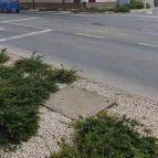 Molnár söröző Dorog - Egyéb