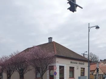 Molnár söröző Dorog