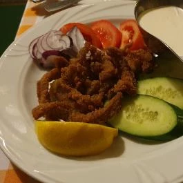 Molnár Vendéglő Tiszafüred - Egyéb