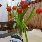 Mona Lisa Café Komárom - Egyéb