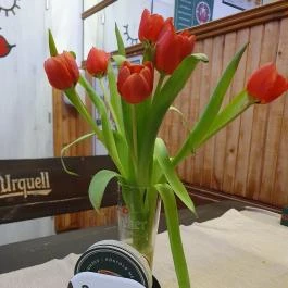 Mona Lisa Café, Komárom - Egyéb