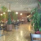 Montenegrói Gurman Max City Törökbálint - Egyéb