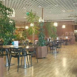 Montenegrói Gurman Max City Törökbálint - Egyéb