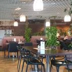 Montenegrói Gurman Max City Törökbálint - Egyéb