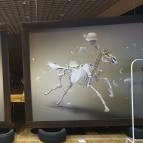 Montenegrói Gurman Max City Törökbálint - Egyéb