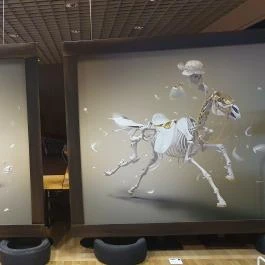 Montenegrói Gurman Max City Törökbálint - Egyéb