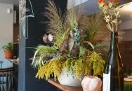 Mór24 - Small Plate & Natural Wine Balatonfüred