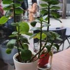 More Bakery & Cafe Budapest - Egyéb