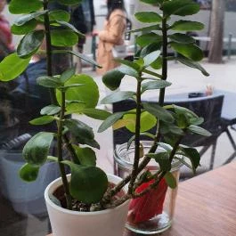 More Bakery & Cafe, Budapest - Egyéb