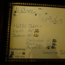 Móri Pub, Budapest - Egyéb