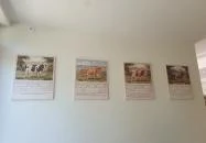 MÚÚ Fagyibár & Specialty Coffee Fonyód