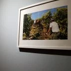 MyWine Wine Bar & Shop Budapest - Belső